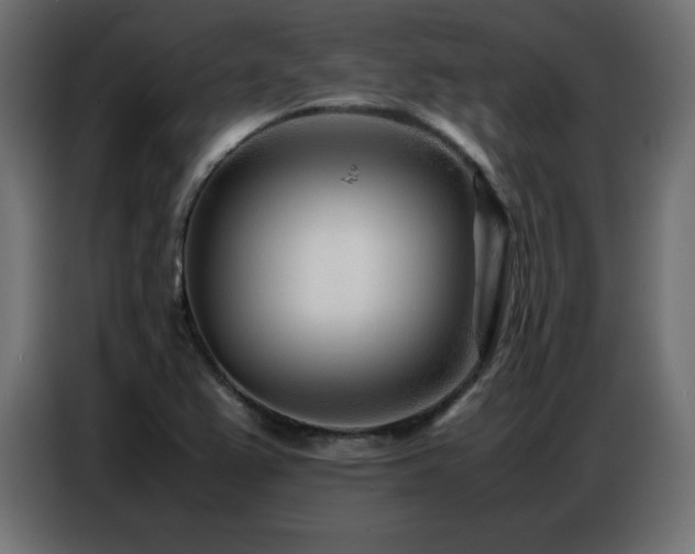 X0000086741367200704131119