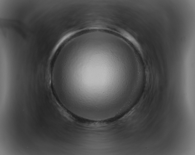 X0000086741368200704131119