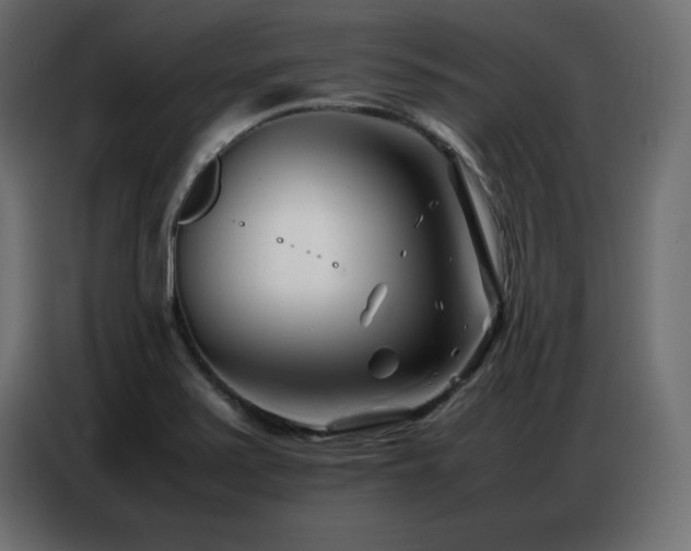 X0000086741371200704131119
