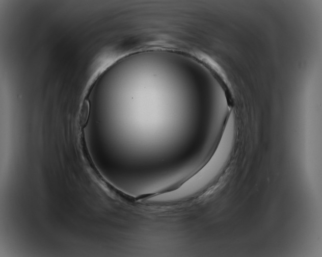 X0000086741373200704131119