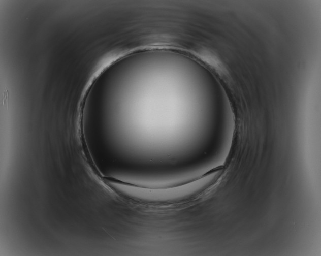 X0000086741374200704131119