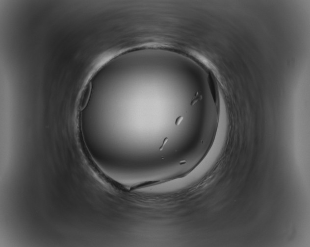 X0000086741375200704131119