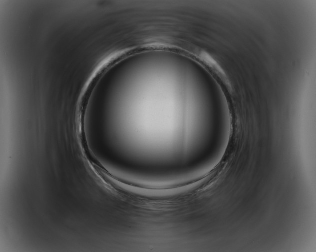 X0000086741376200704131119