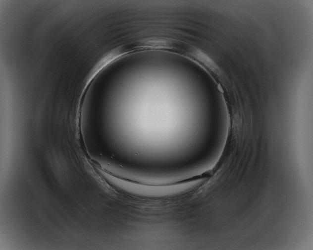 X0000086741378200704131119