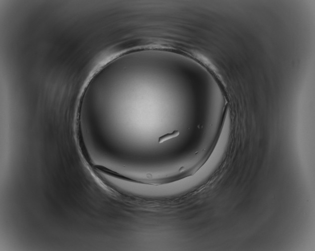 X0000086741379200704131119