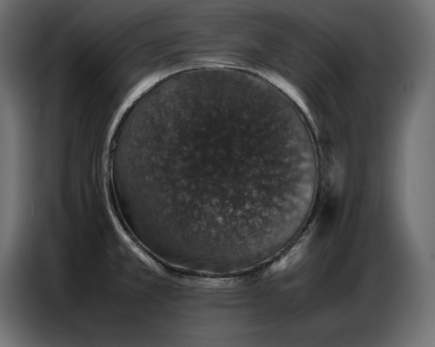 X0000086741381200704131119
