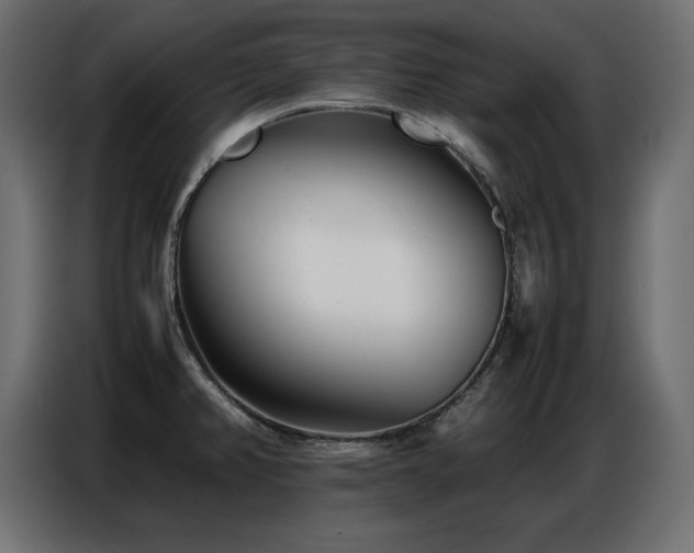 X0000086741382200704131119