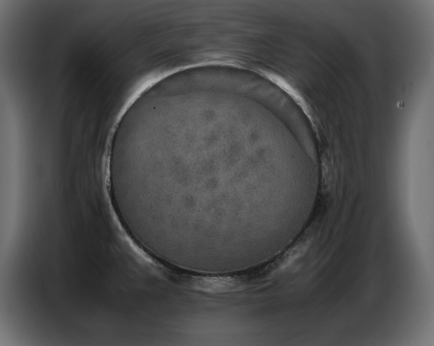 X0000086741383200704131119