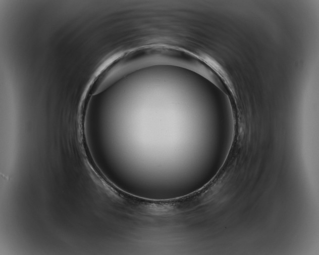 X0000086741384200704131119