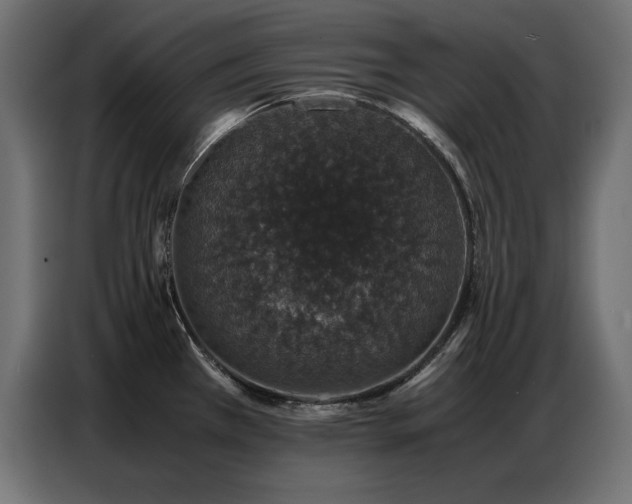 X0000086741385200704131119