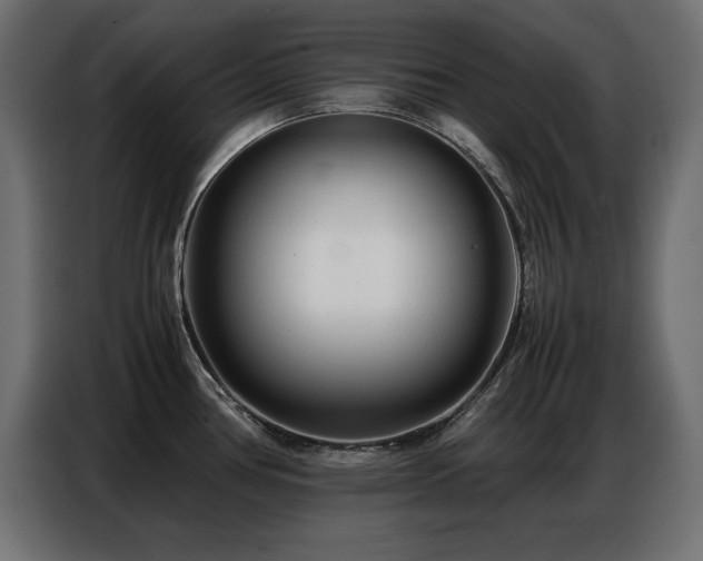X0000086741386200704131119