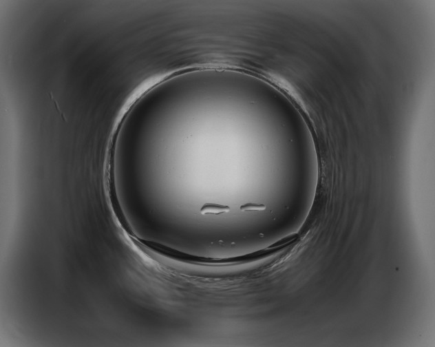 X0000086741387200704131119