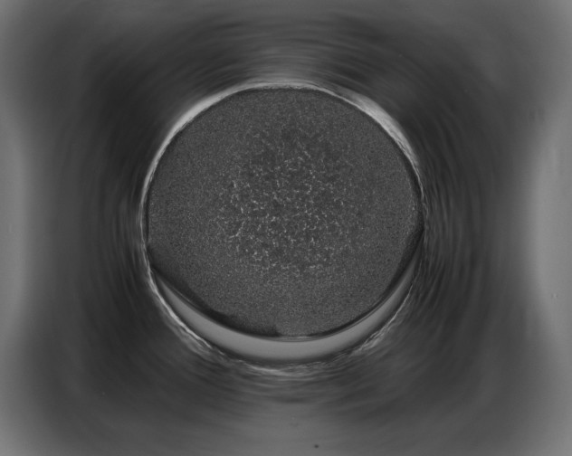 X0000086741388200704131119