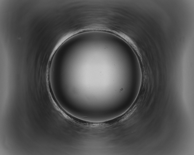 X0000086741390200704131119