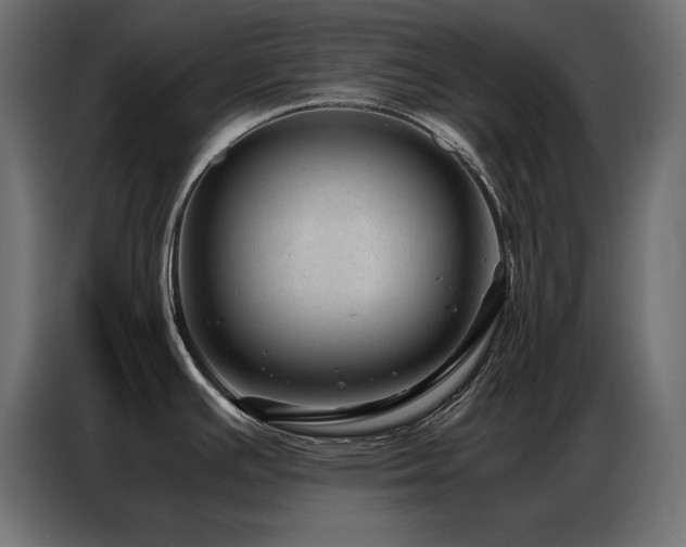 X0000086741391200704131119