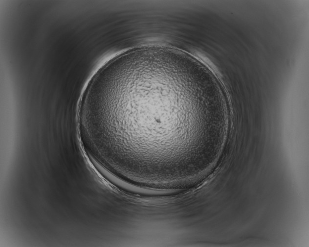 X0000086741392200704131119
