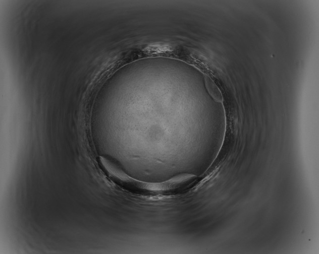 X0000086741393200704131118