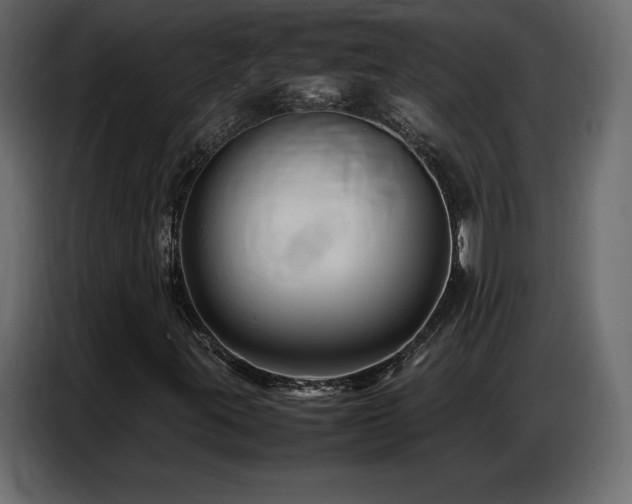 X0000086741395200704131118