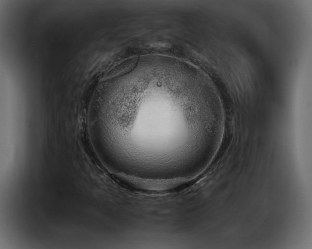 X0000086741397200704131118