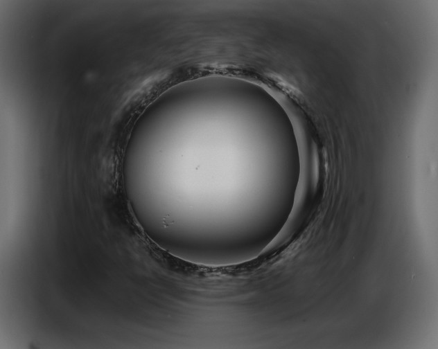 X0000086741398200704131118
