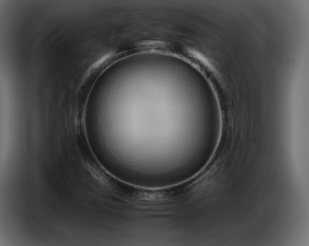 X0000086741403200704131118