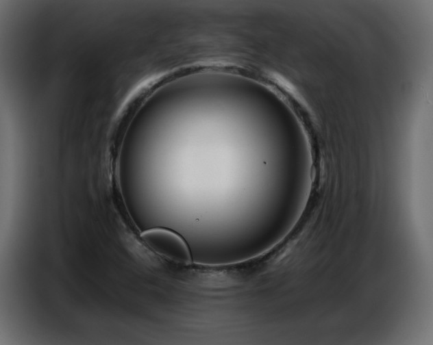 X0000086741408200704131118