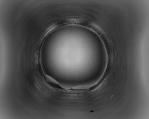 X0000086741409200704131118