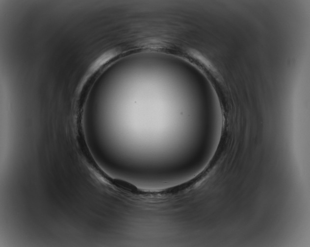 X0000086741410200704131118