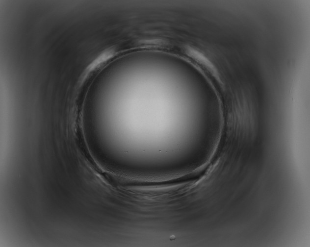X0000086741411200704131118
