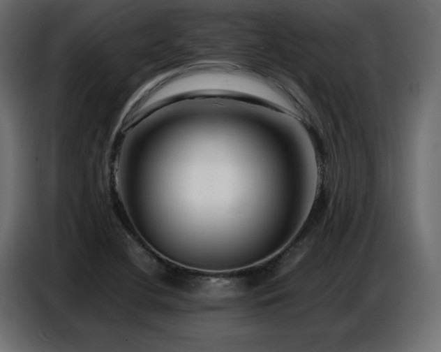 X0000086741412200704131118