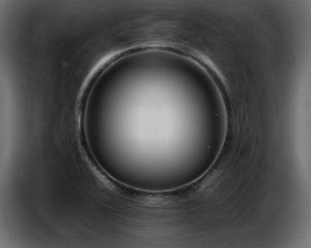 X0000086741416200704131118