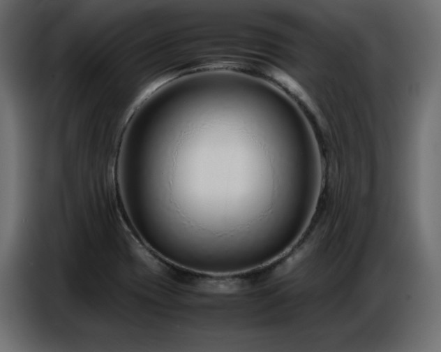 X0000086741417200704131118