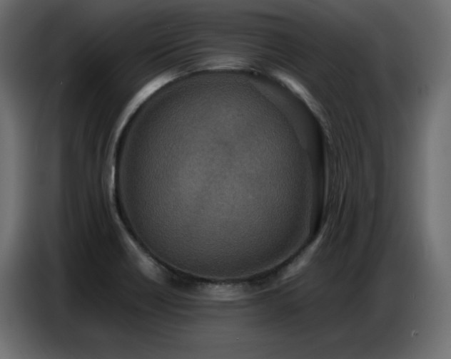 X0000086741418200704131118