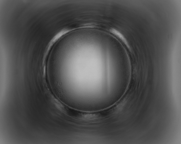 X0000086741419200704131118
