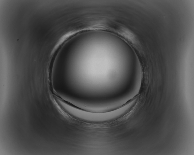 X0000086741422200704131118