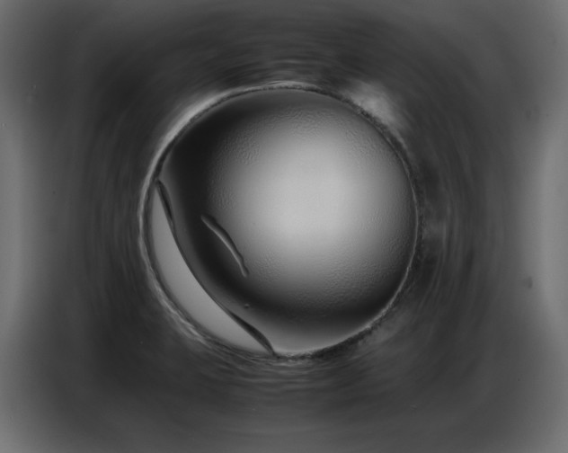 X0000086741423200704131118