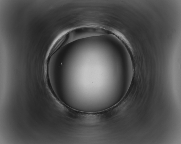 X0000086741424200704131118