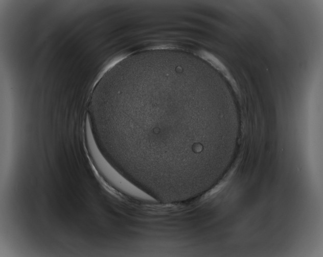 X0000086741425200704131118