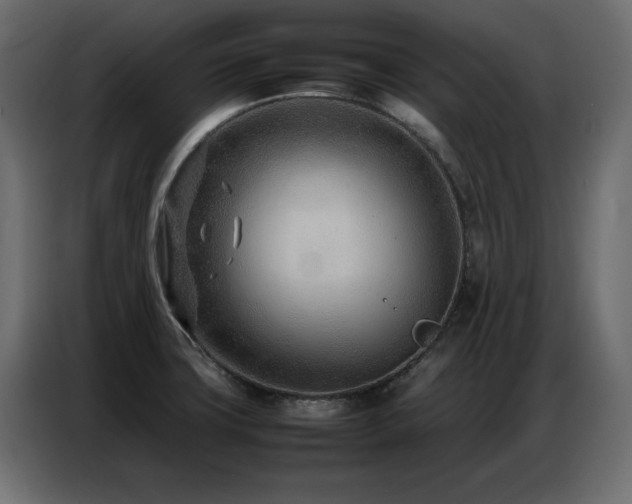 X0000086741427200704131118