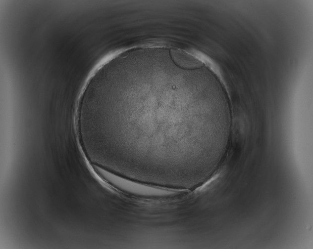 X0000086741429200704131118