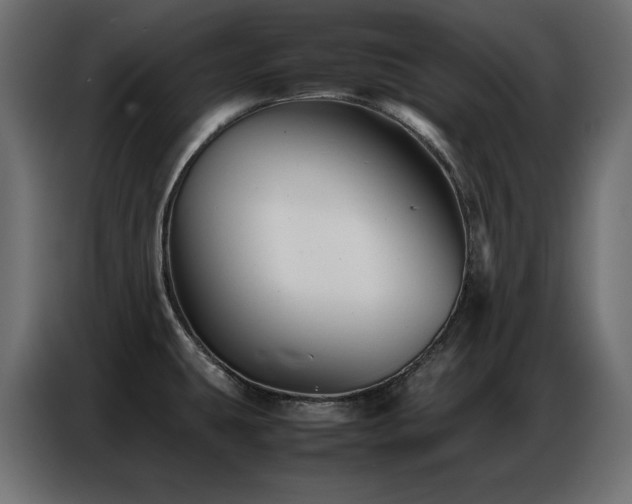 X0000086741431200704131119