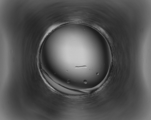 X0000086741432200704131119
