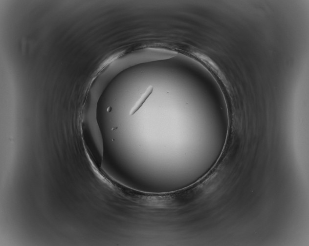 X0000086741433200704131119