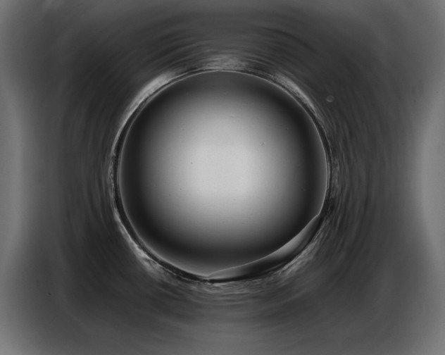 X0000086741434200704131119
