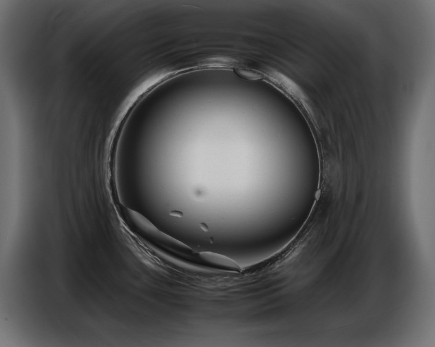 X0000086741435200704131119