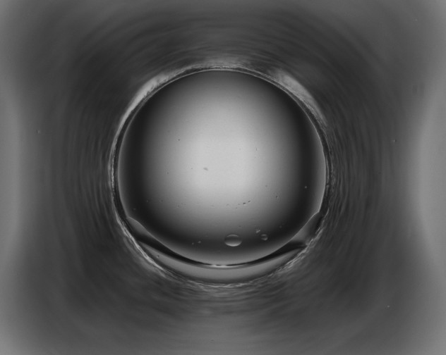 X0000086741436200704131119