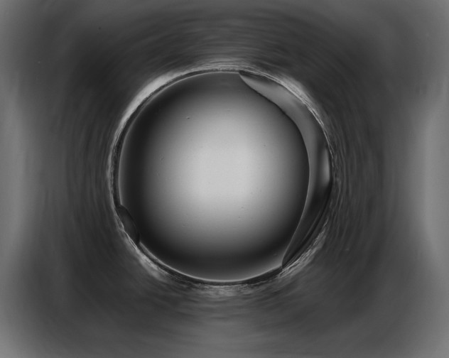 X0000086741438200704131119