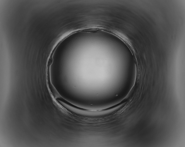 X0000086741439200704131119