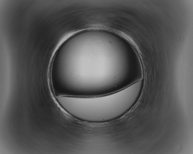 X0000086741440200704131119