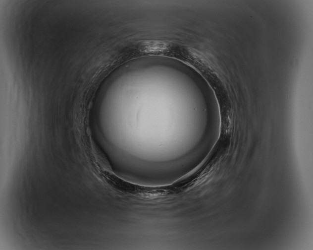 X0000086741441200704131118